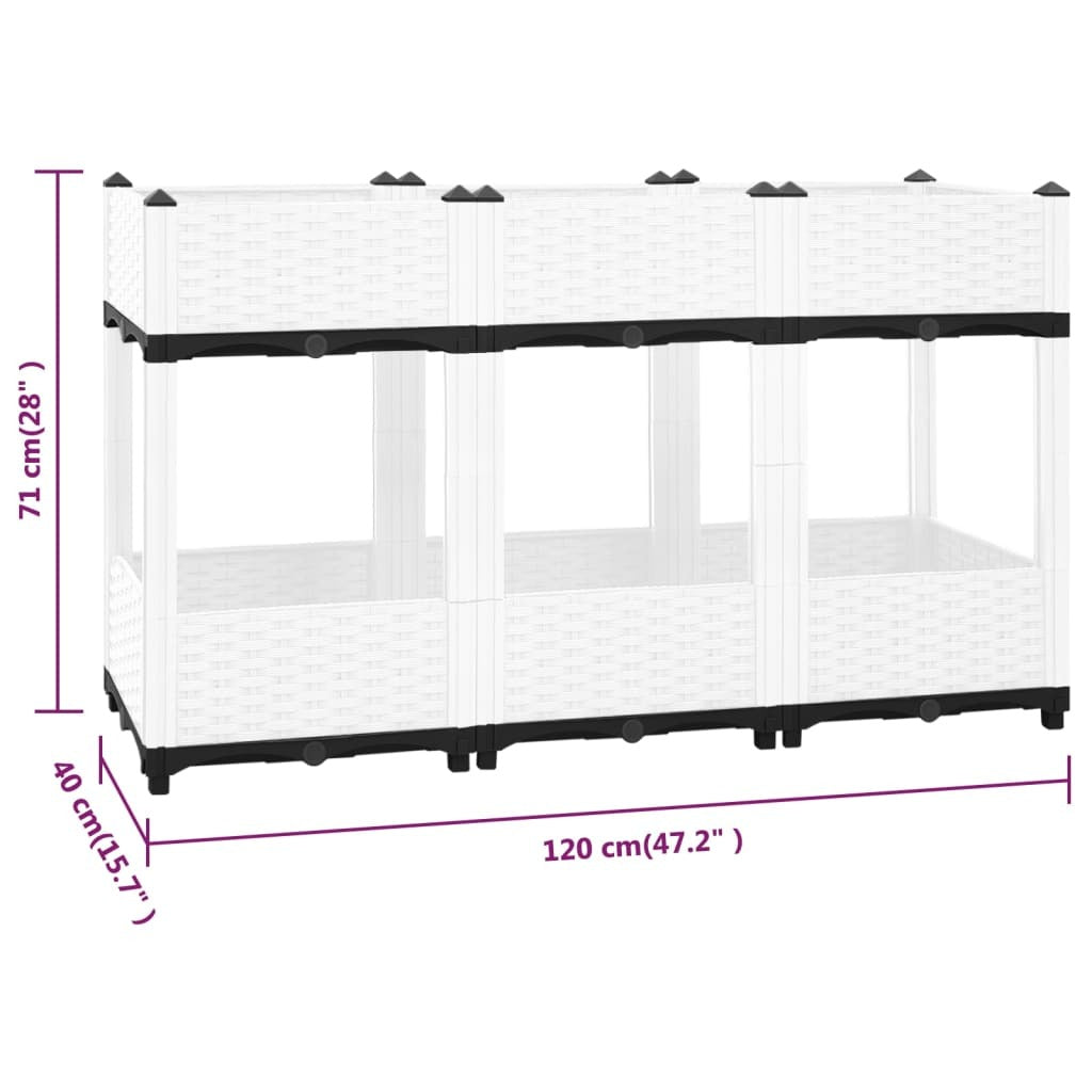 Raised Bed 120x40x71 cm Polypropylene