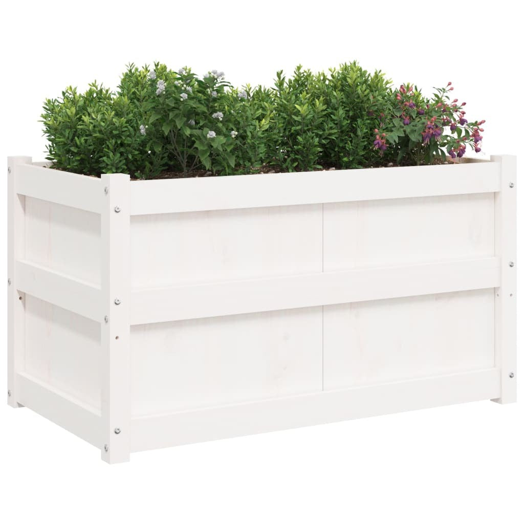Garden Planters 2 pcs White Solid Wood Pine