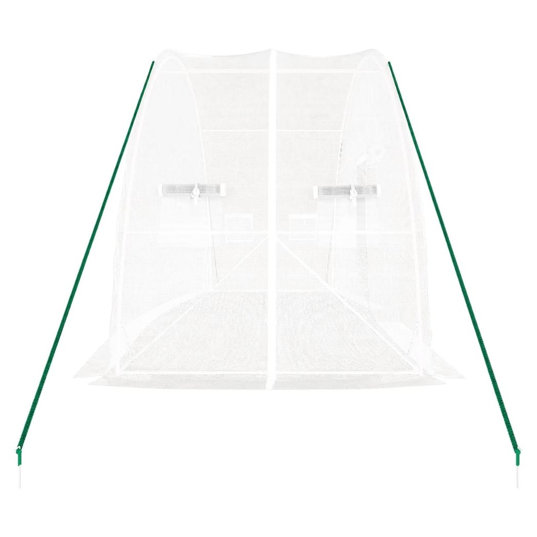 Greenhouse with Steel Frame White 12 m 6x2x2.85 m