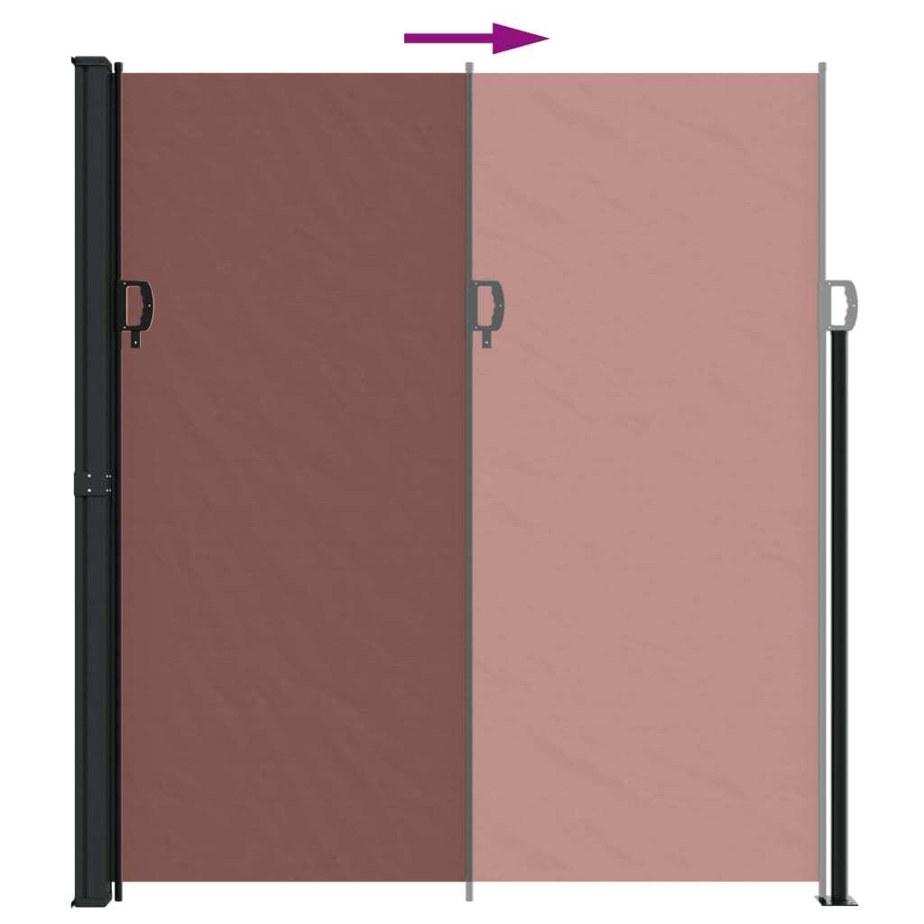 Retractable Side Awning Brown 220x300 cm