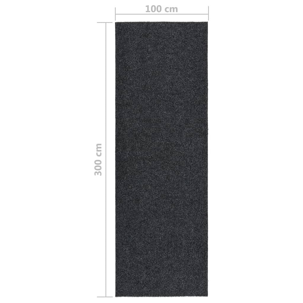 Dirt Trapper Carpet Runner 100x300 cm Anthracite