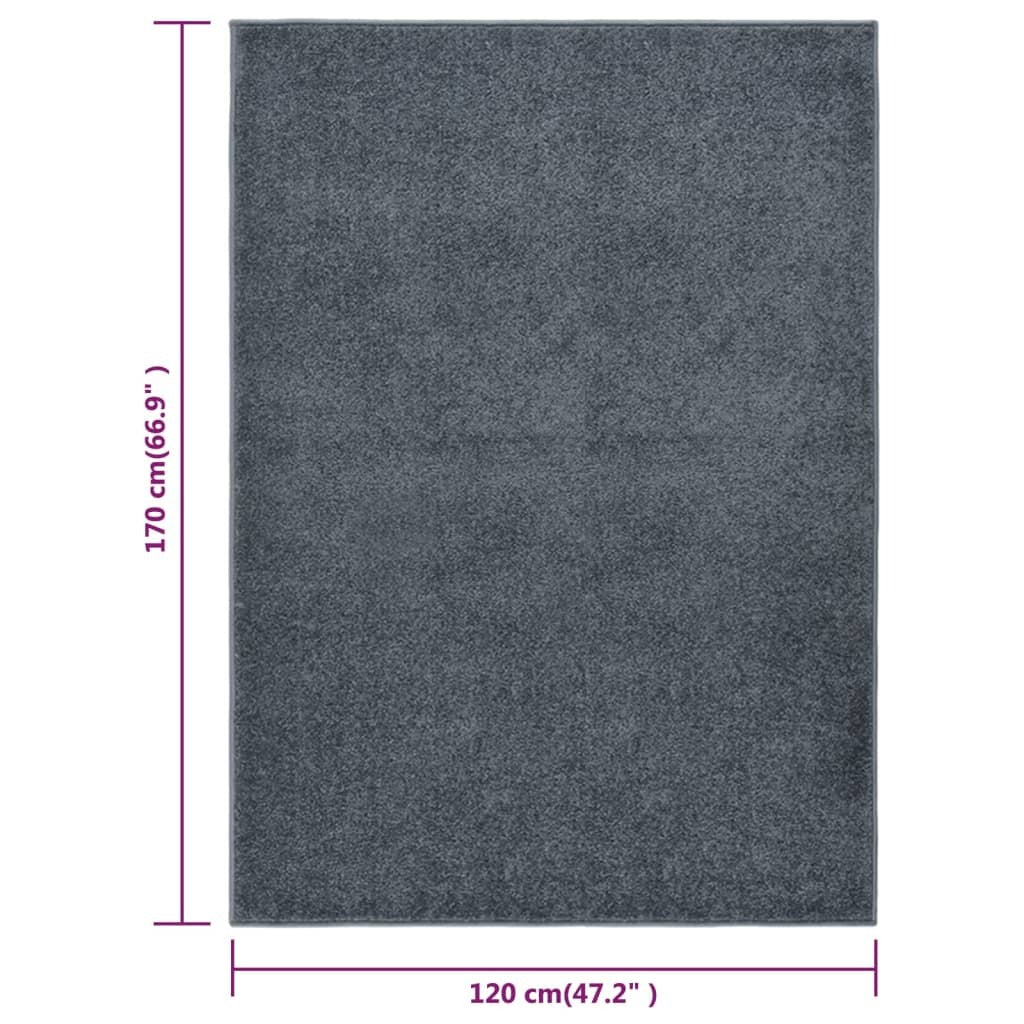 Rug Short Pile 120x170 cm Anthracite