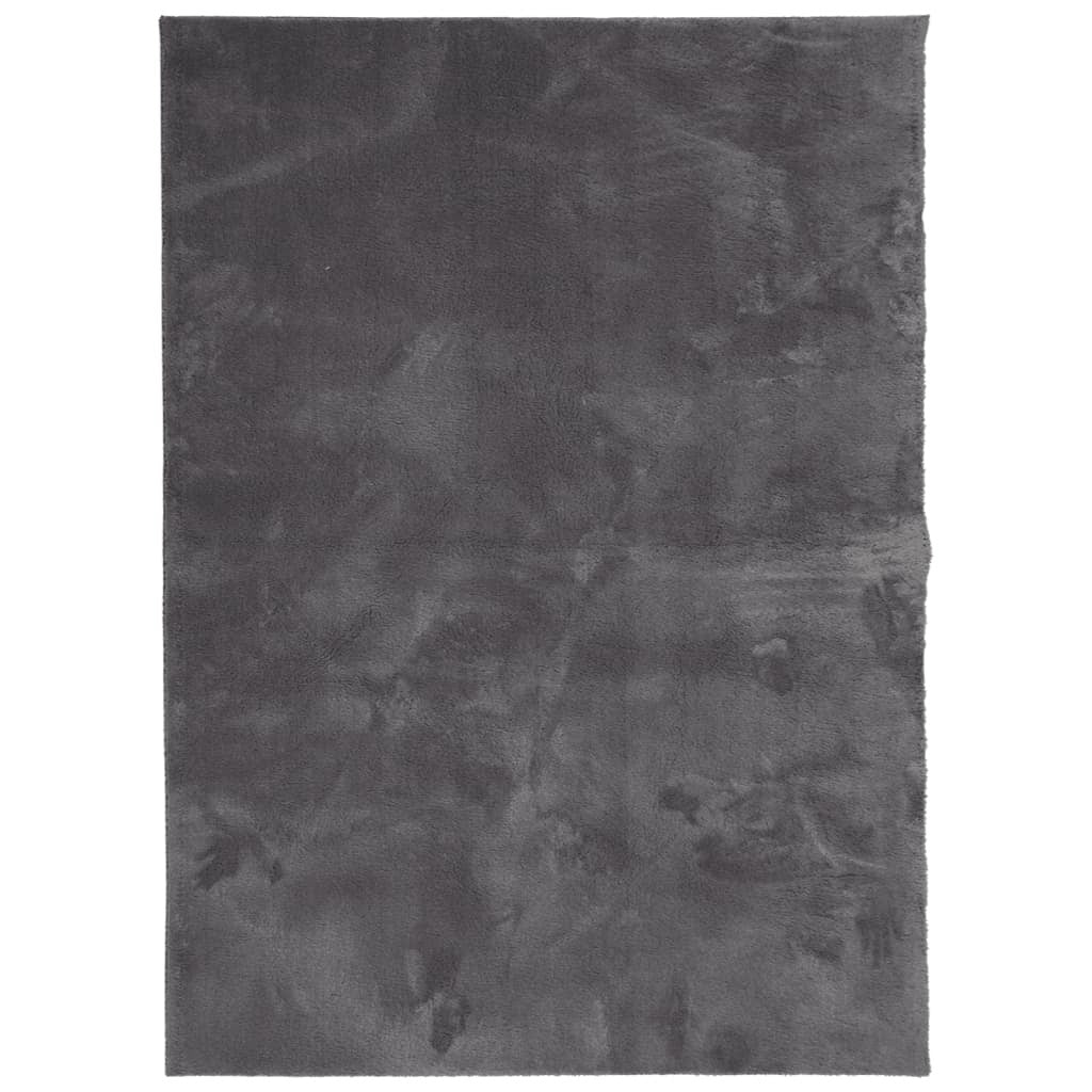 Rug HUARTE Short Pile Soft and Washable Anthracite 120x170 cm