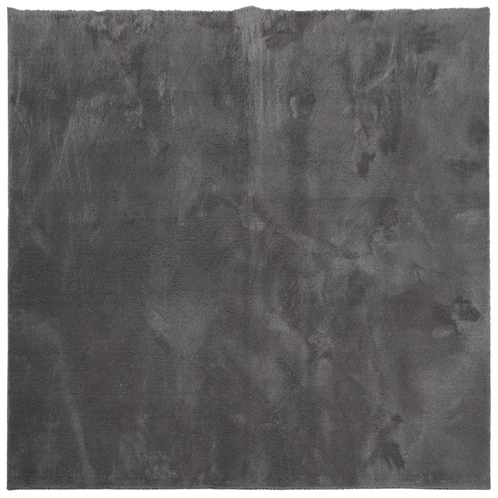 Rug HUARTE Short Pile Soft and Washable Anthracite 200x200 cm