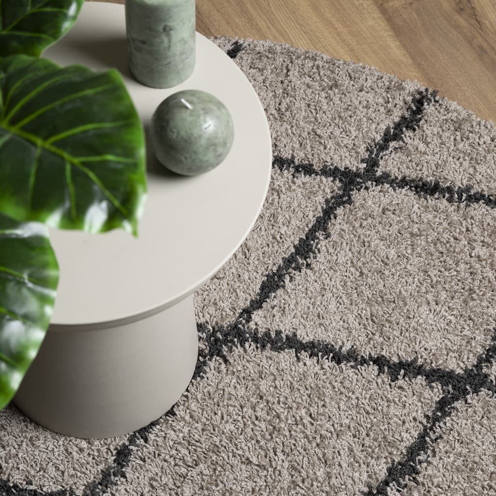 Shaggy Rug PAMPLONA High Pile Modern Beige and Anthracite  120 cm