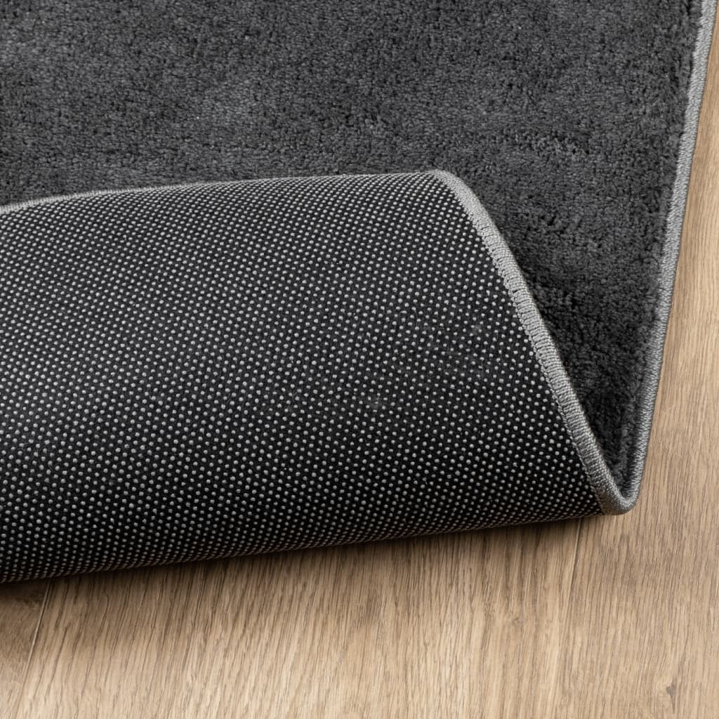 Rug OVIEDO Short Pile Anthracite 80x150 cm