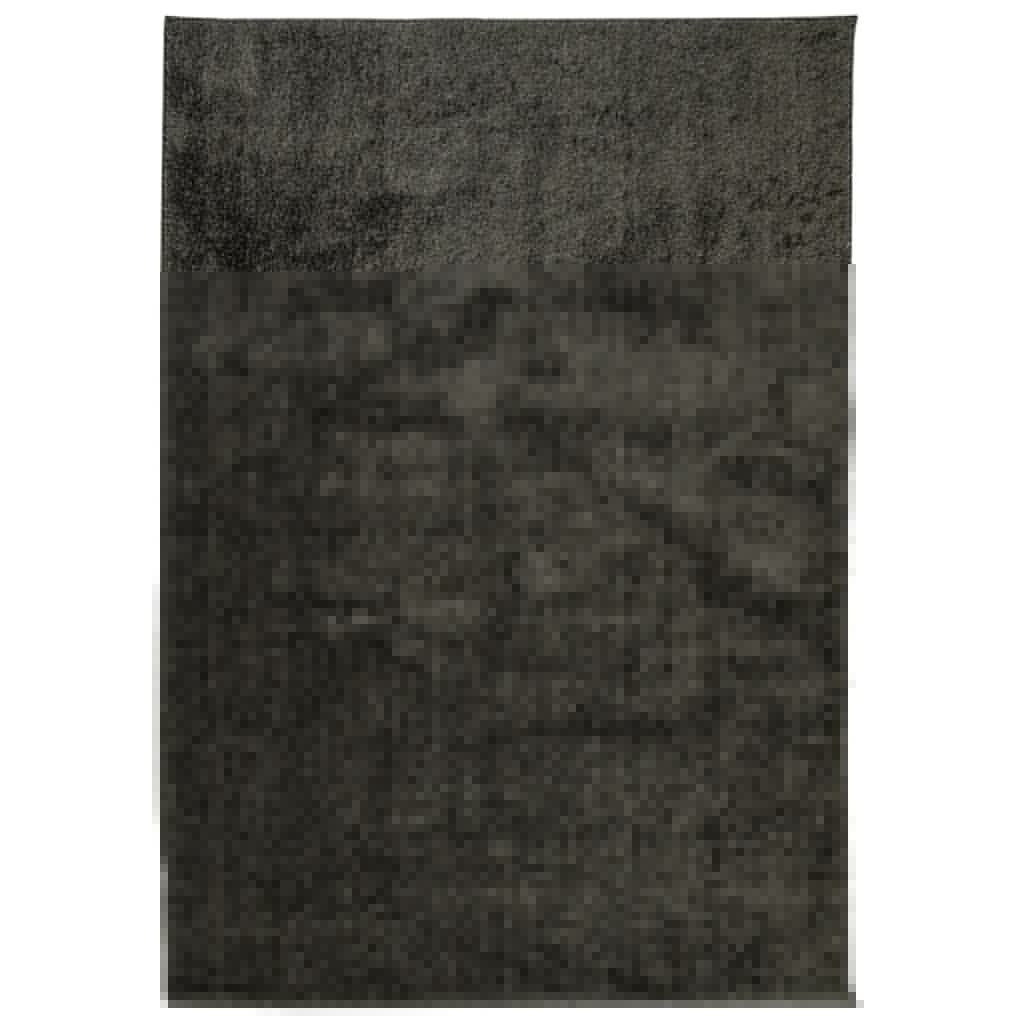 Rug ISTAN High Pile Shiny Look Anthracite 160x230 cm