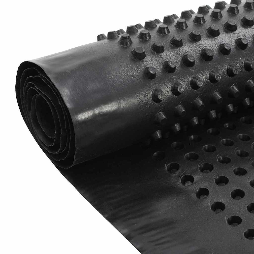 Drainage Sheet Black 1 x 10 m HDPE