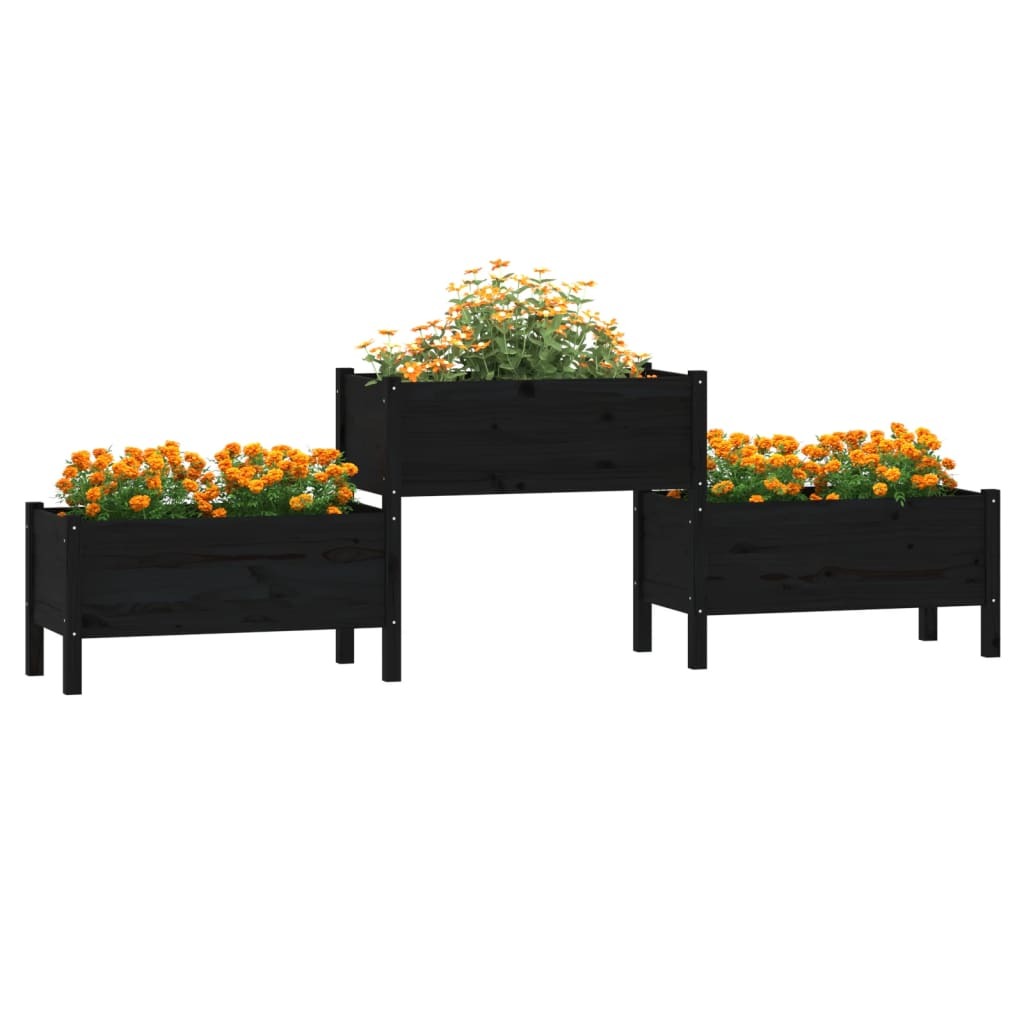 Planter Black 245.5x44x75 cm Solid Wood Pine