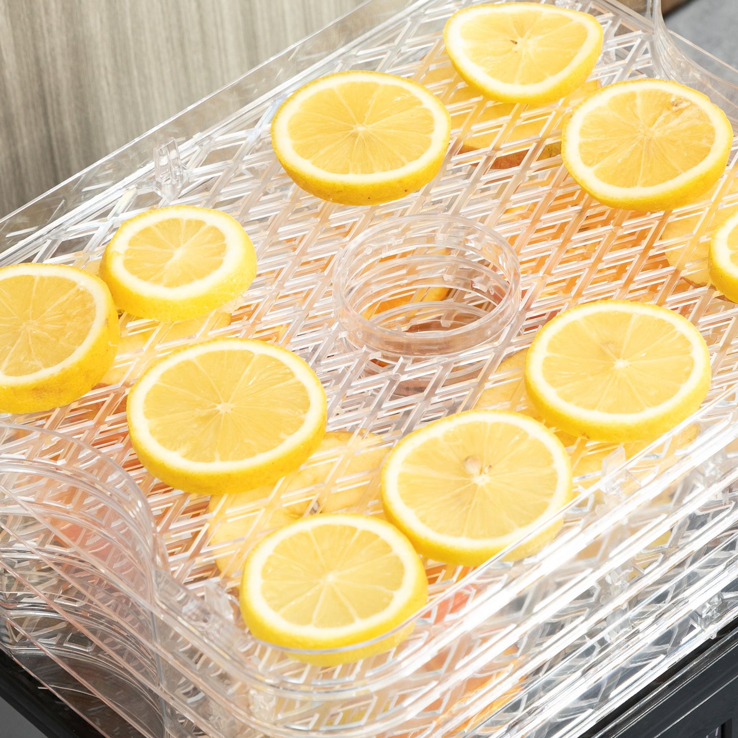 5 Tier Food Dehydrator 245W Stainless Steel Food Dryer Machine Timer LCD Silver