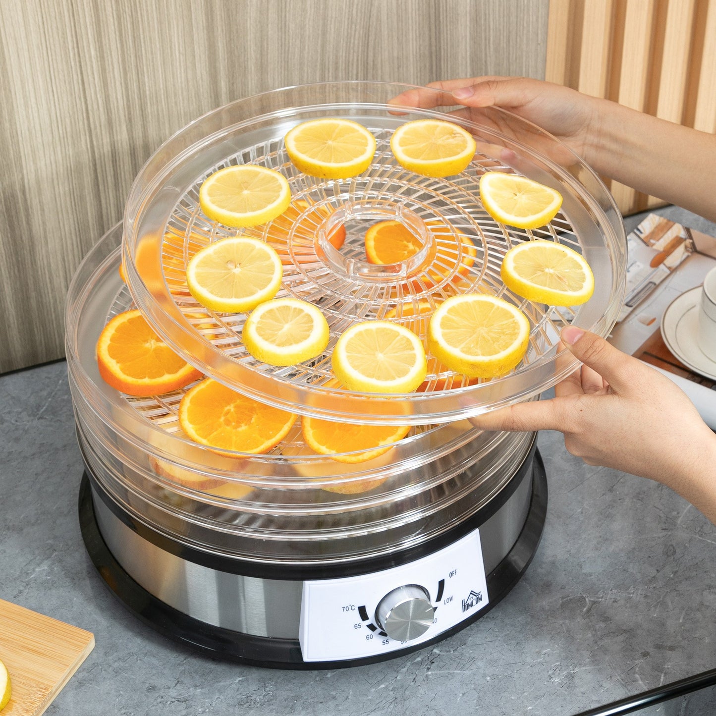 5 Tier Food Dehydrator 250W Stainless Steel Food Dryer Machine Silver