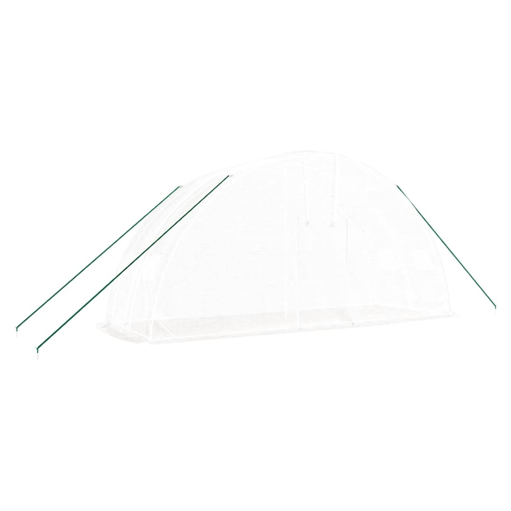 Greenhouse with Steel Frame White 12 m 6x2x2.85 m
