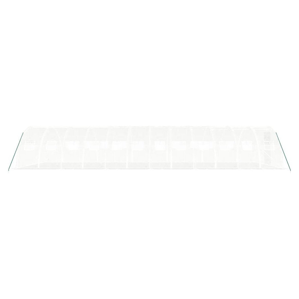 Greenhouse with Steel Frame White 48 m 12x4x2 m