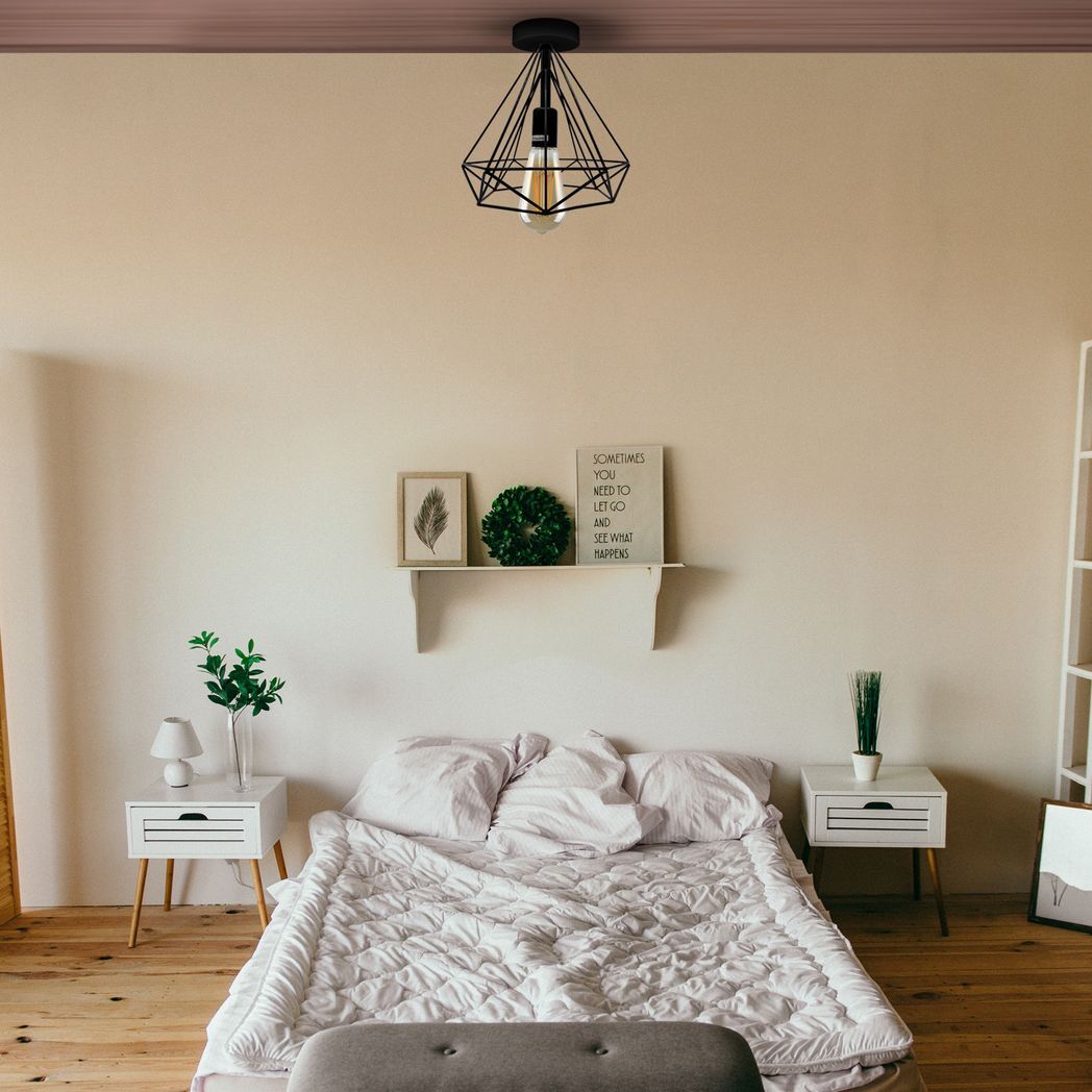 2Pack Black Vintage Flush Mount Ceiling Light Fixture Metal Cage Ceiling Lampshade with E27 Holder